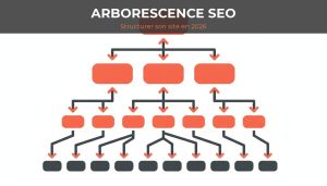 arborescence site web seo - schema hierarchique de l accueil aux pages